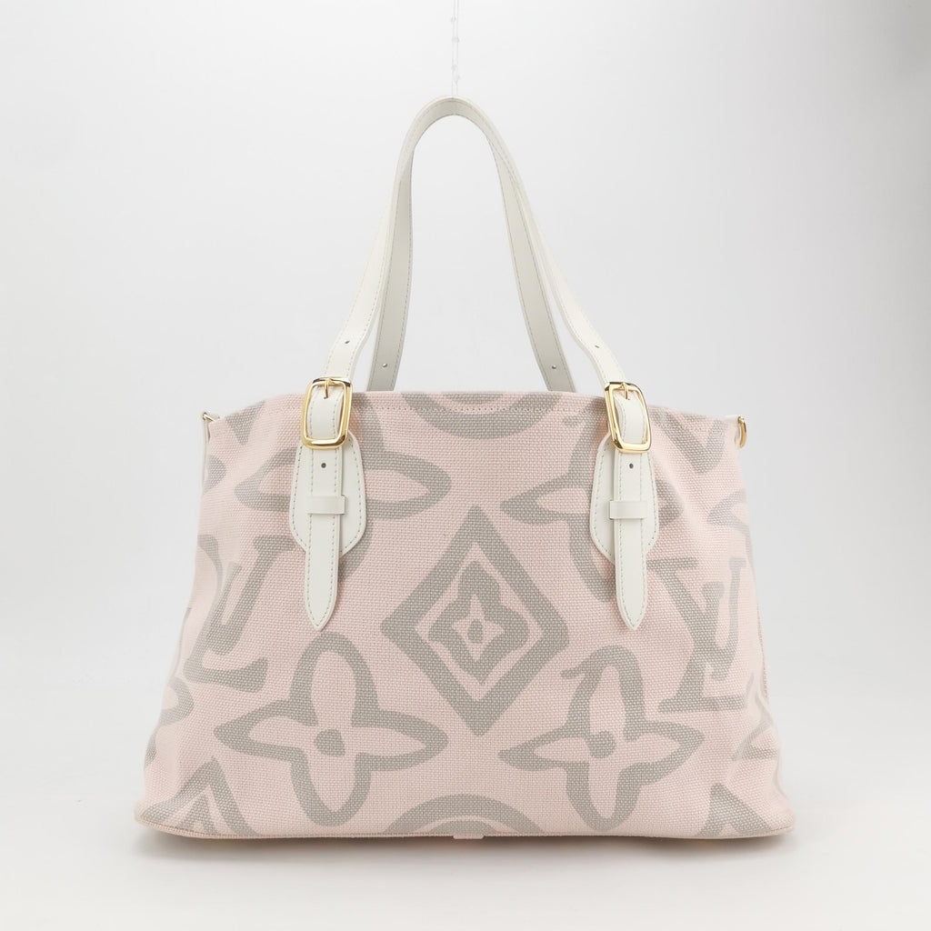 Louis Vuitton Canvas