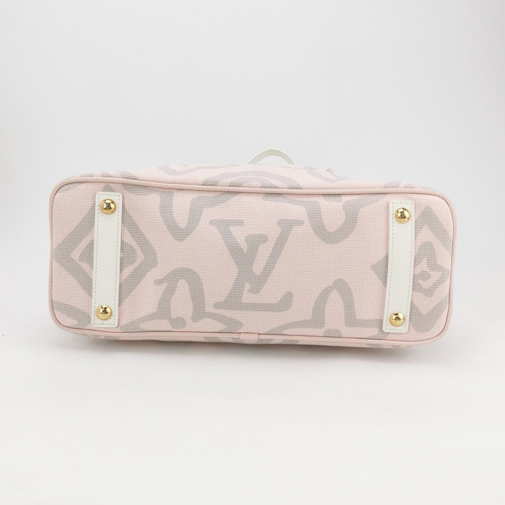Louis Vuitton Canvas