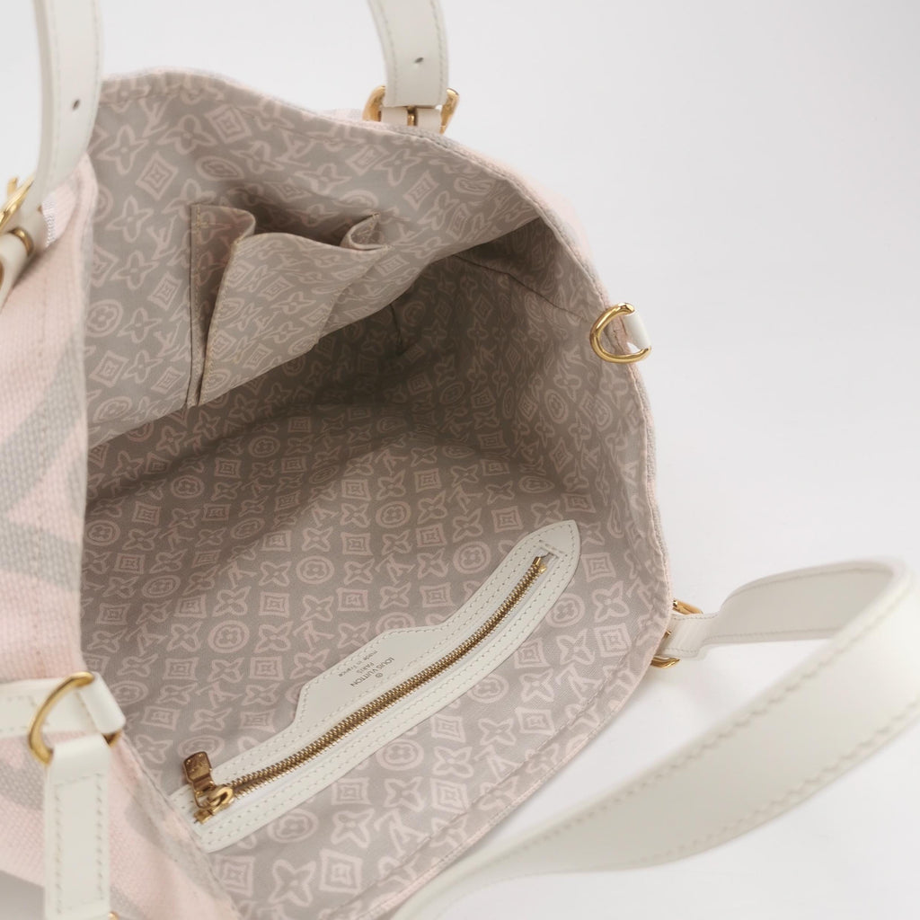 Louis Vuitton Canvas