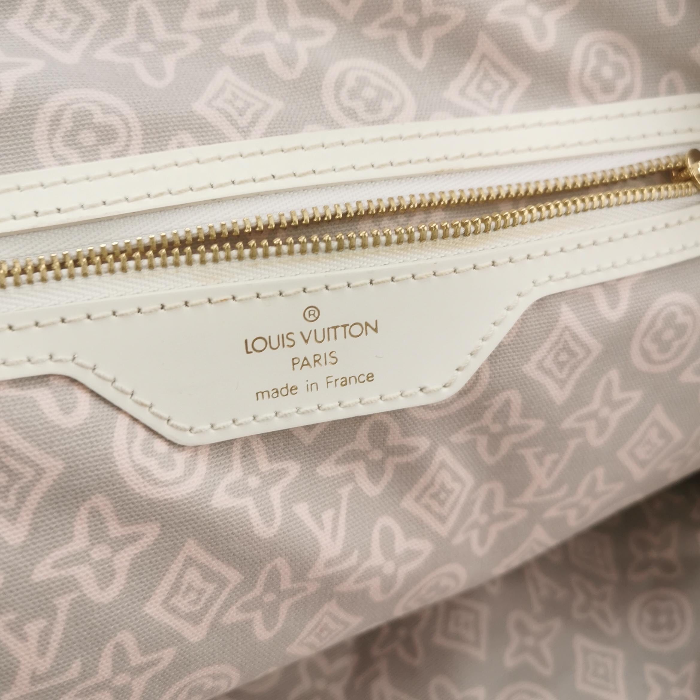 Louis Vuitton Canvas