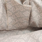 Louis Vuitton Canvas
