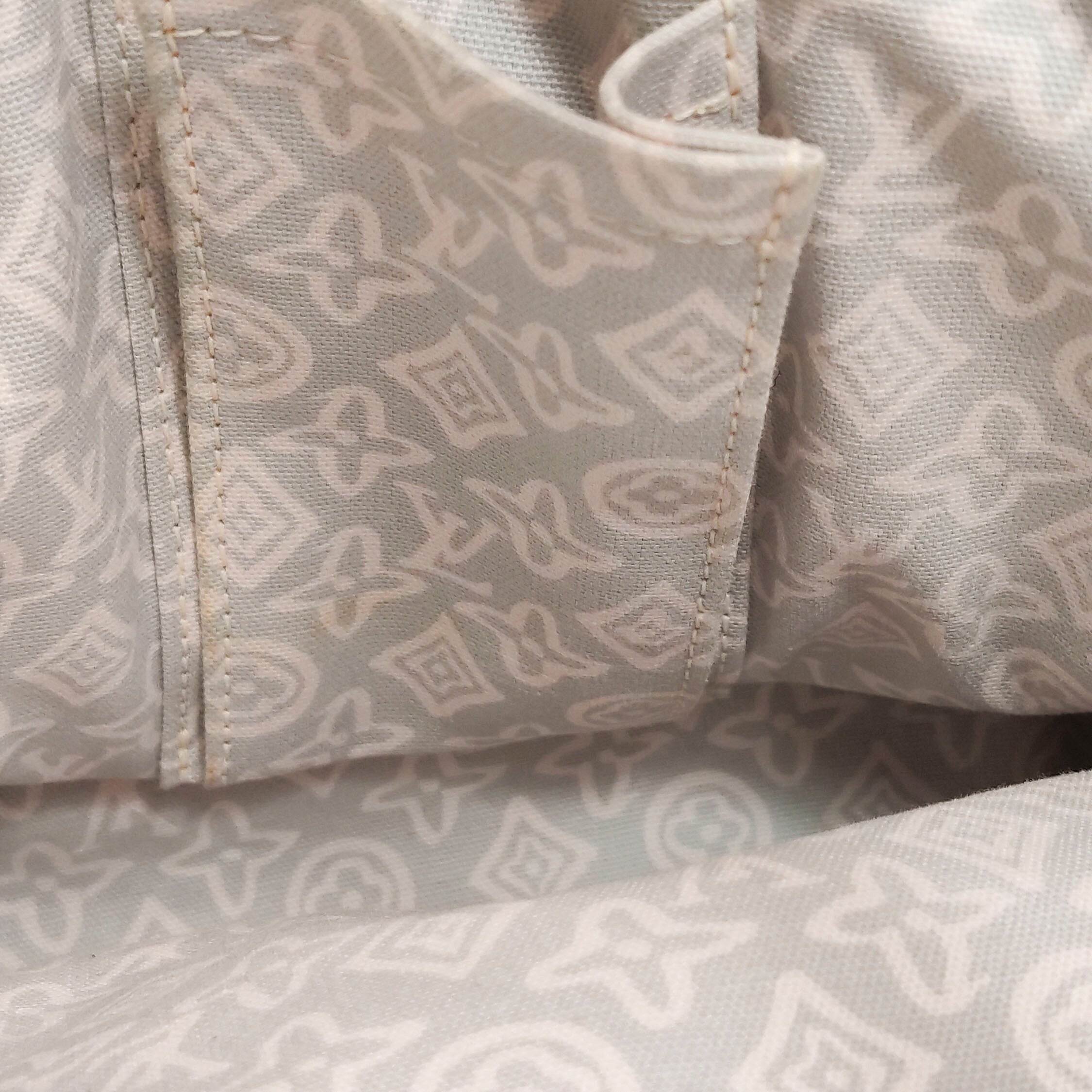 Louis Vuitton Canvas