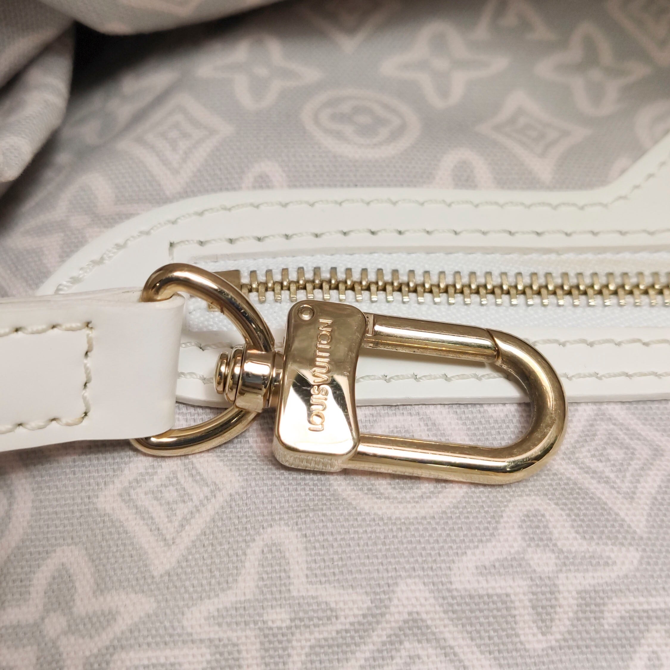 Louis Vuitton Canvas