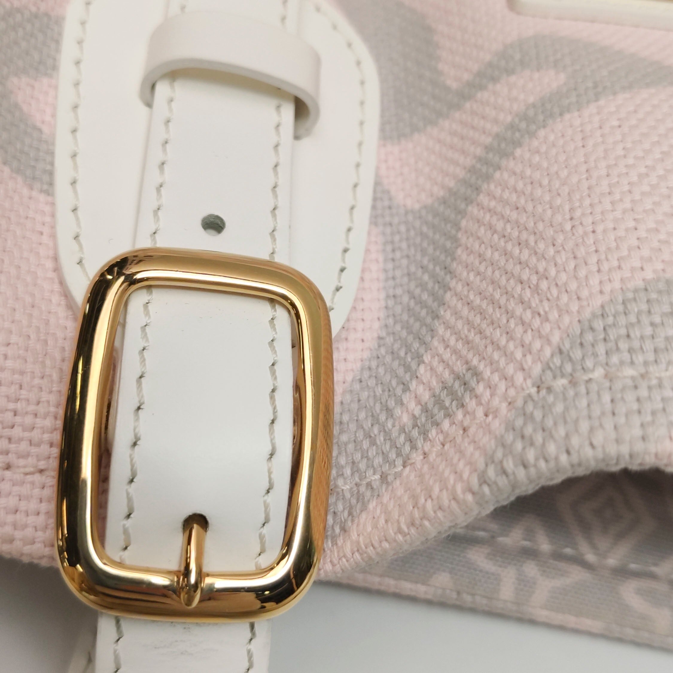 Louis Vuitton Canvas