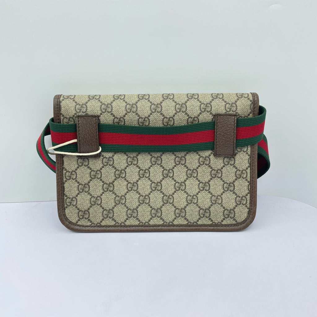 Gucci Canvas Belt Bag & Fanny Pack