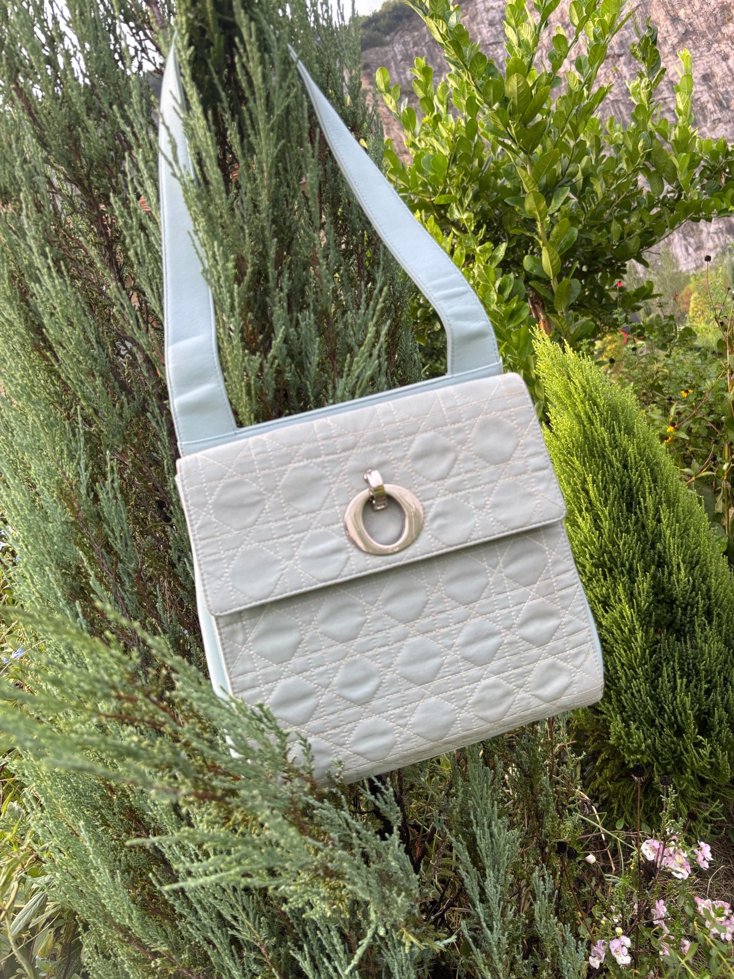 Dior Canvas Tote