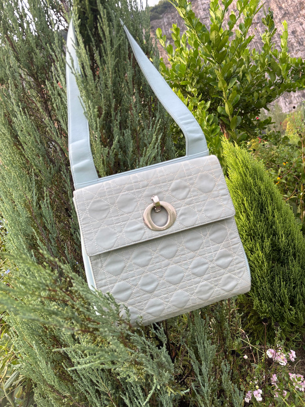 Dior Canvas Tote