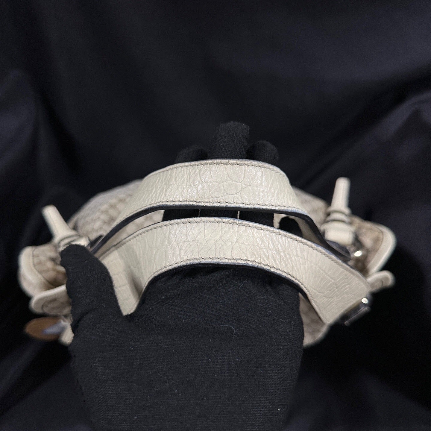Celine Canvas