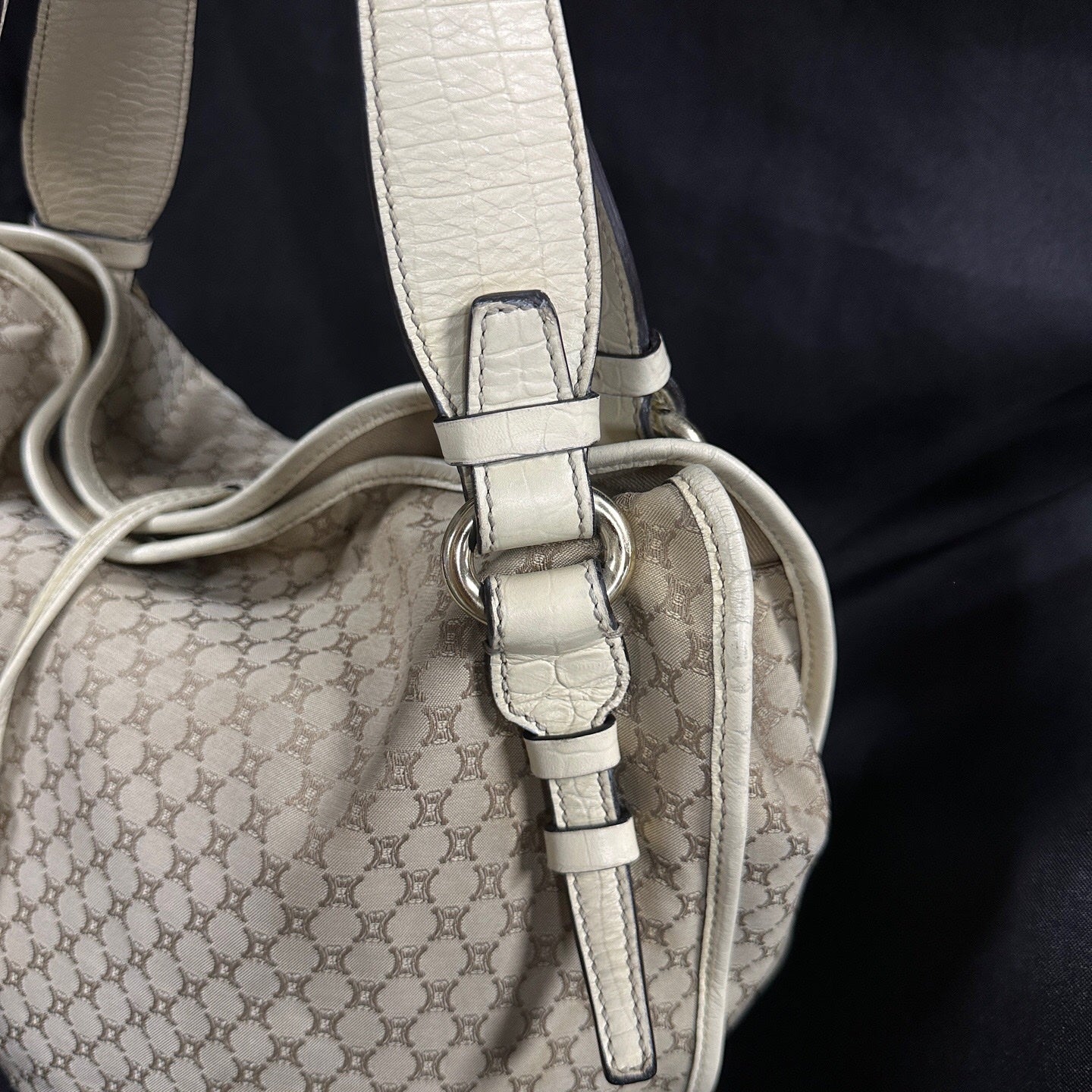 Celine Canvas
