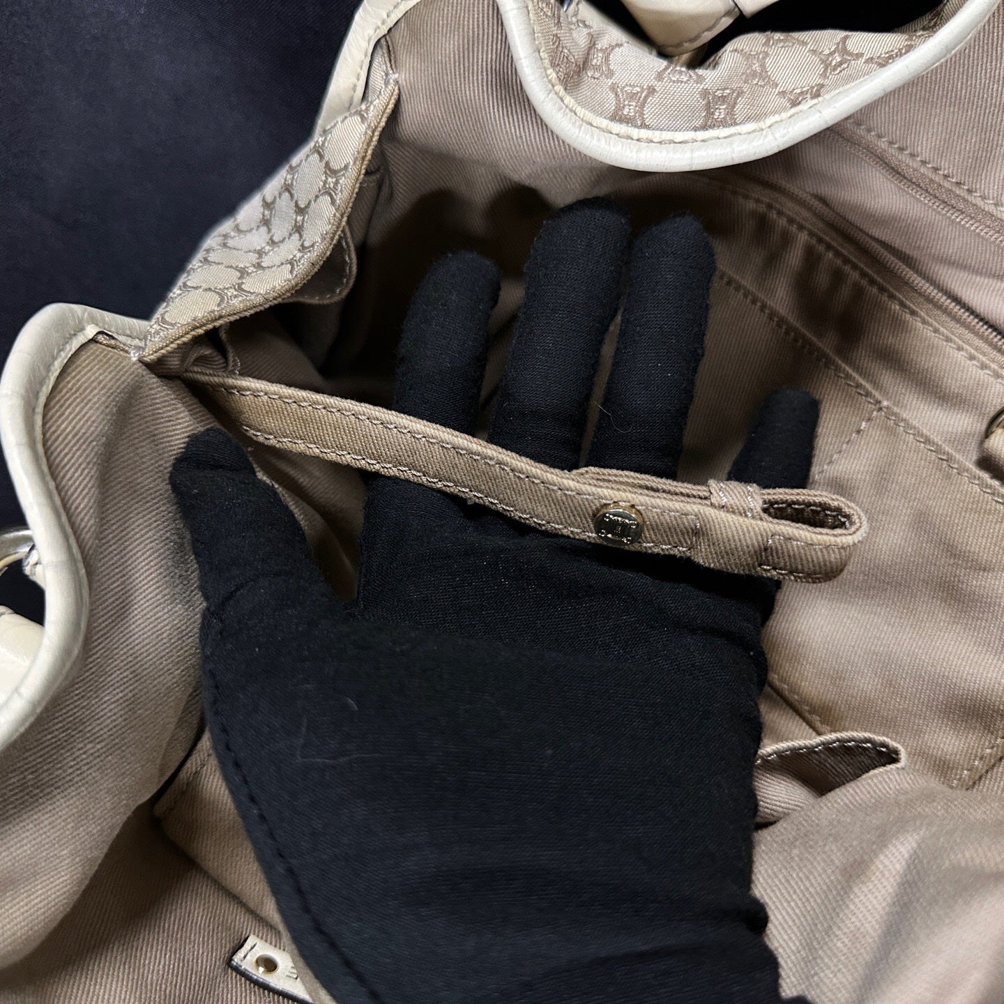 Celine Canvas