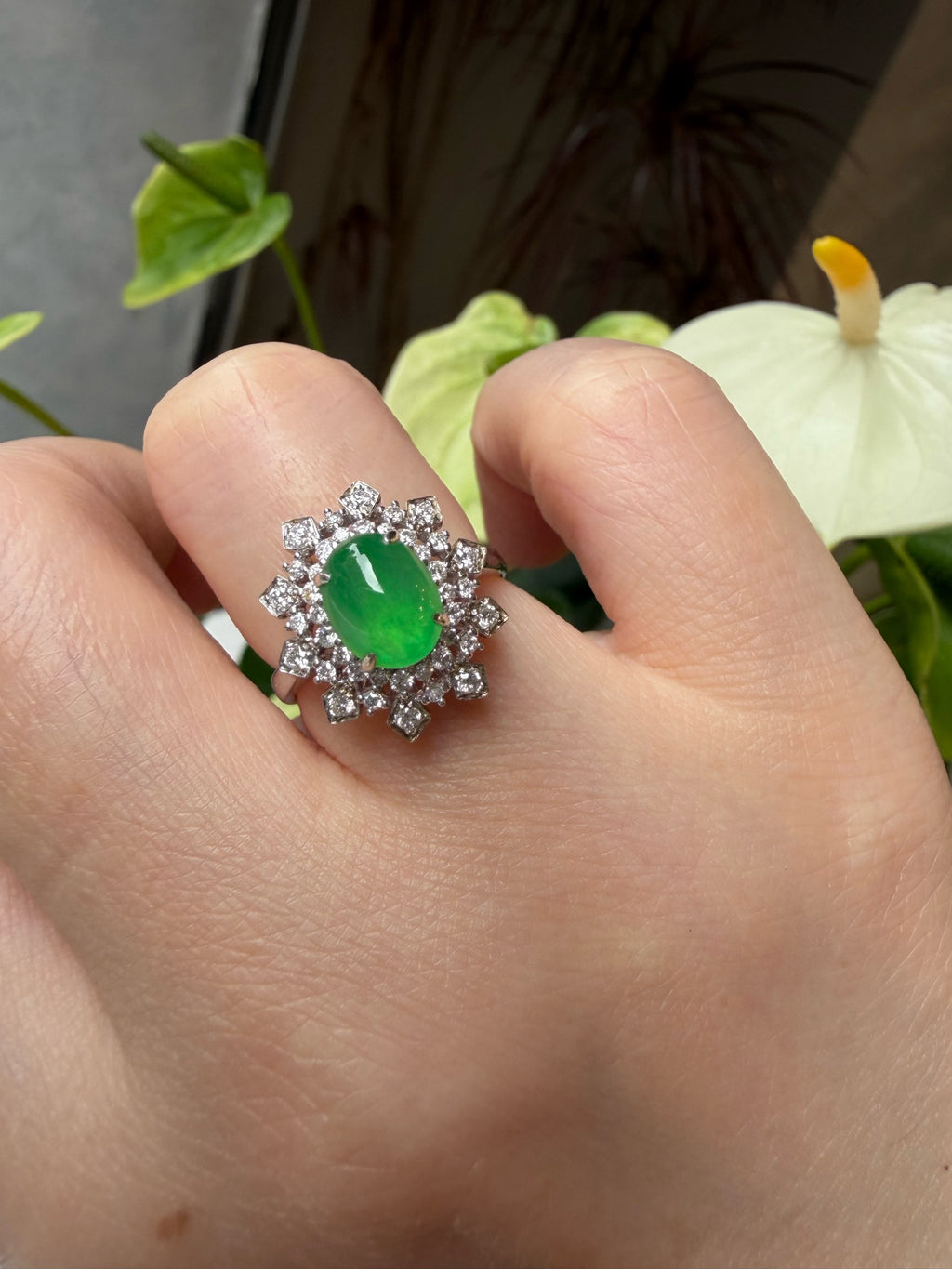 空白 Ring