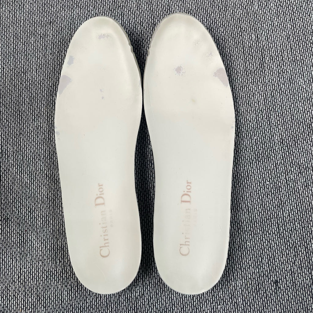 Dior Skate shoes