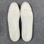 Dior Skate shoes
