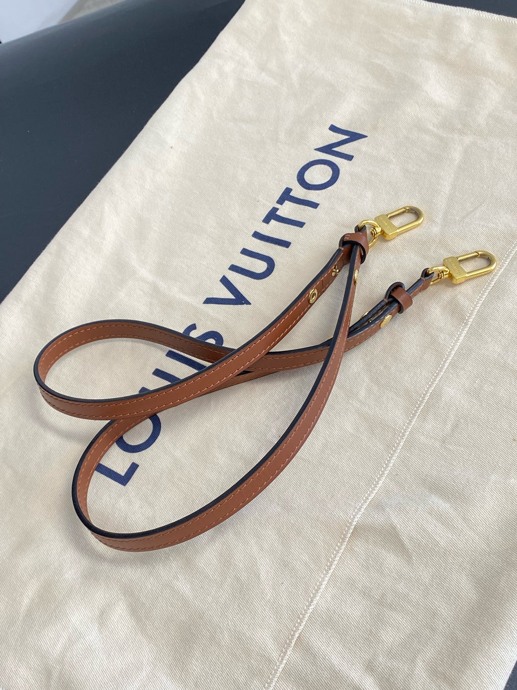 Louis Vuitton Brown M44887