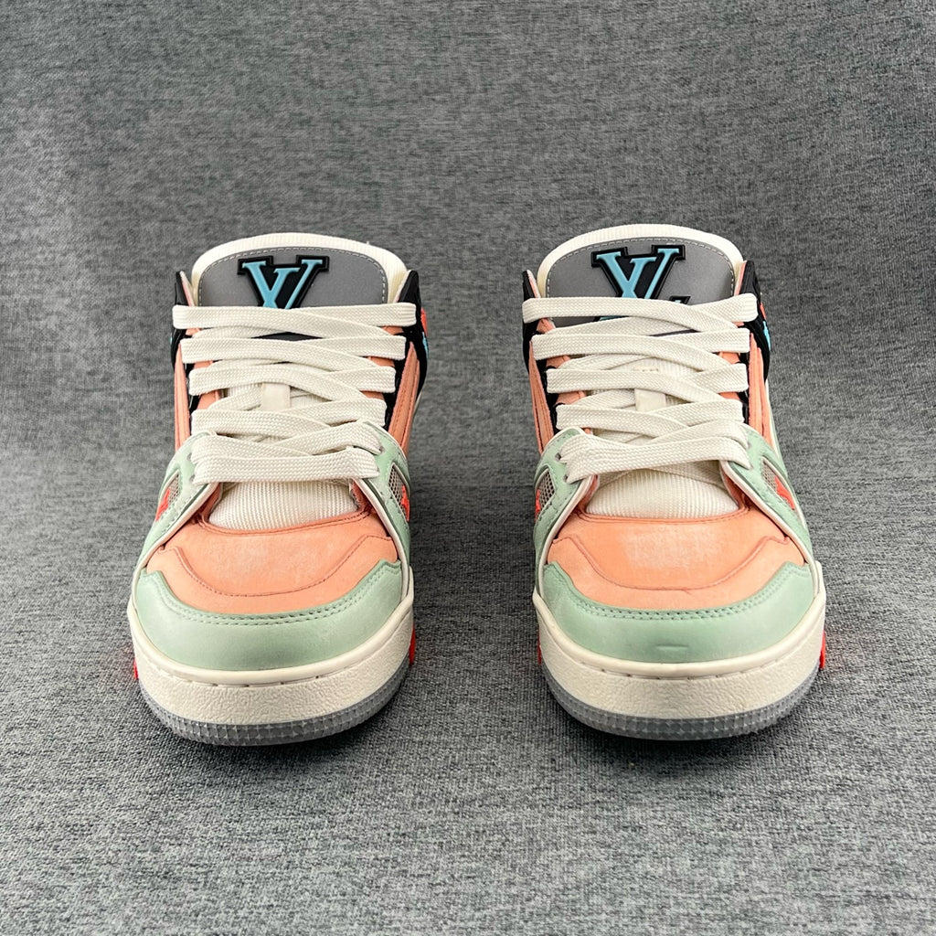 Louis Vuitton Skate shoes