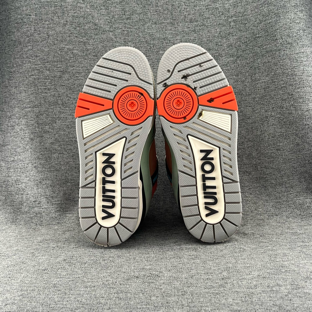 Louis Vuitton Skate shoes