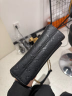 Louis Vuitton Black