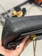 Louis Vuitton Black