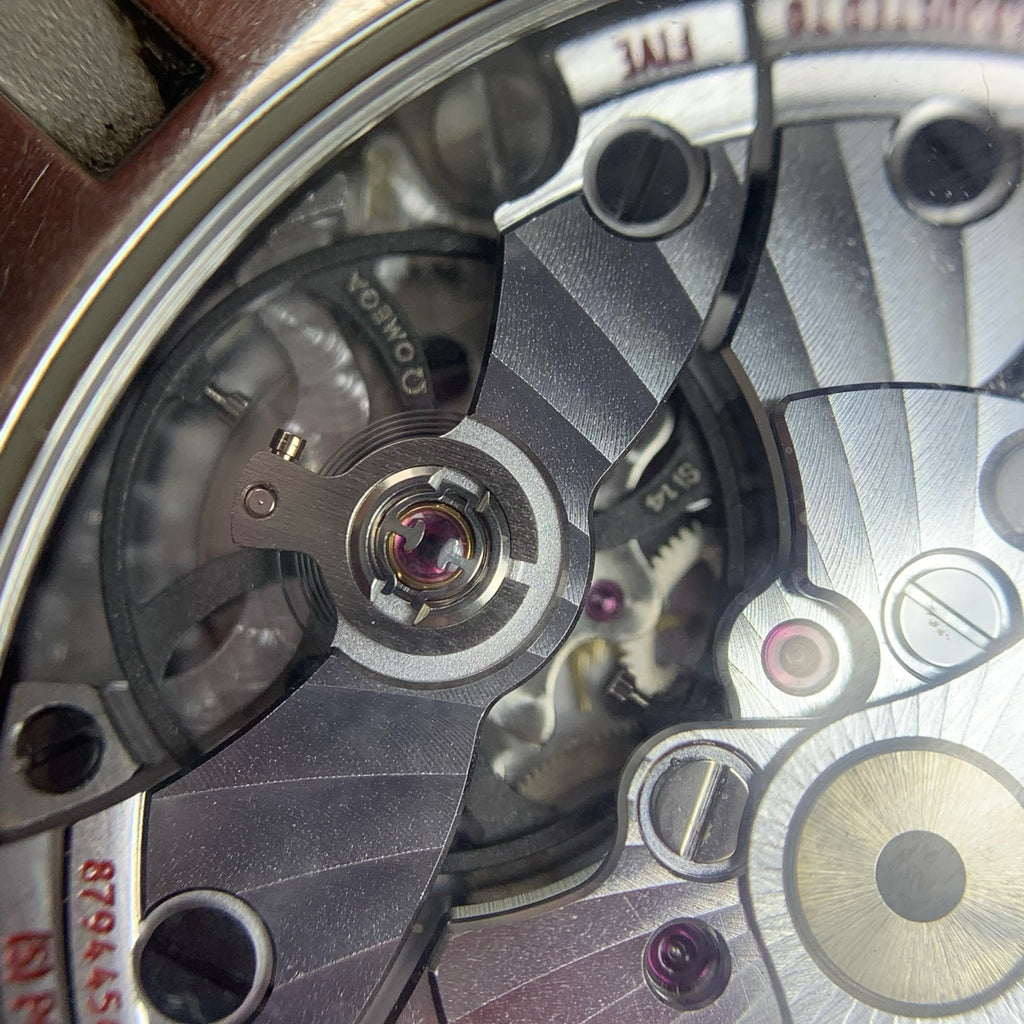 Omega Seahorse Series 41.5 231.10.42.21.01.002