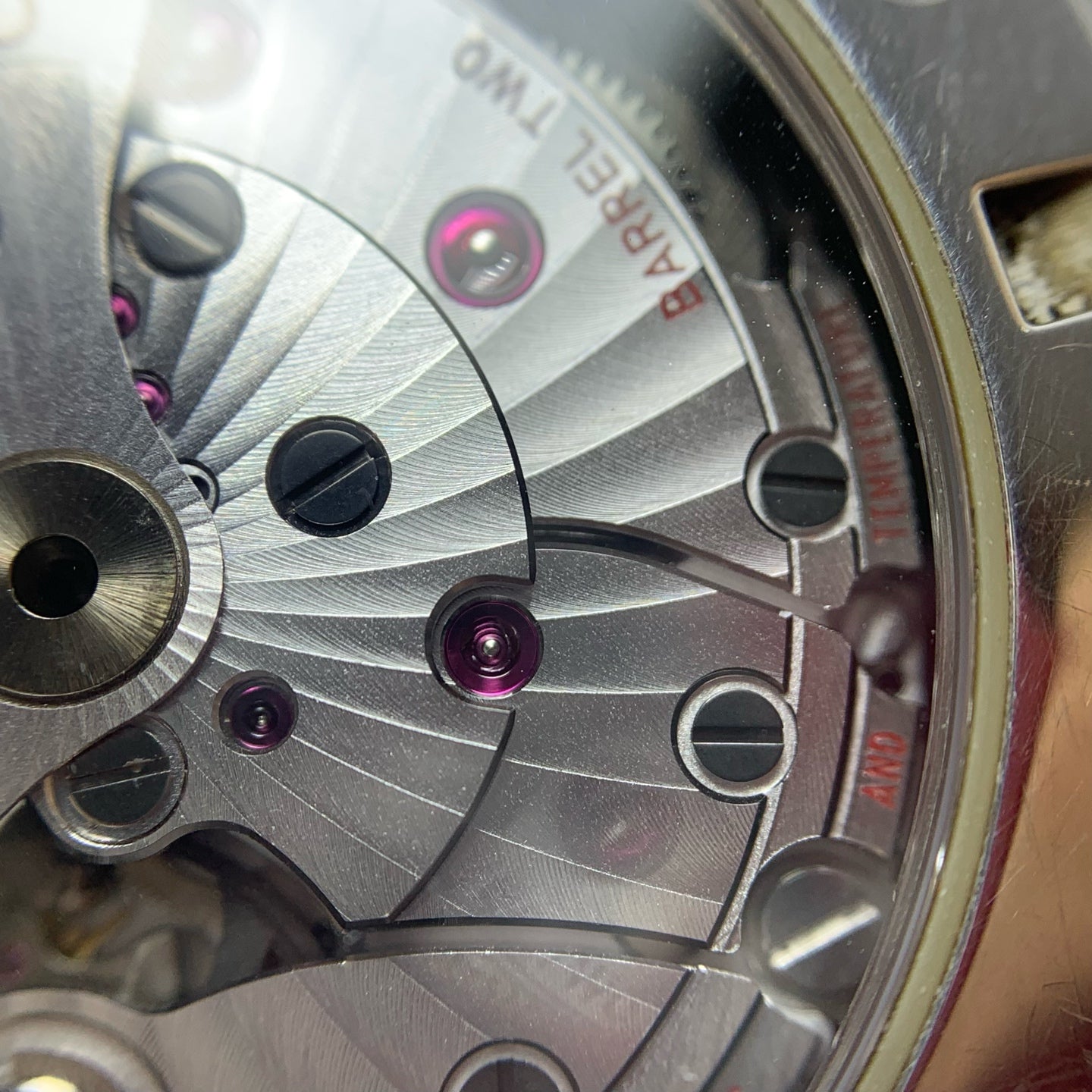 Omega Seahorse Series 41.5 231.10.42.21.01.002