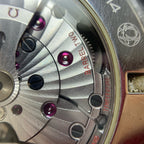 Omega Seahorse Series 41.5 231.10.42.21.01.002