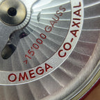 Omega Seahorse Series 41.5 231.10.42.21.01.002