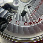 Omega Seahorse Series 41.5 231.10.42.21.01.002
