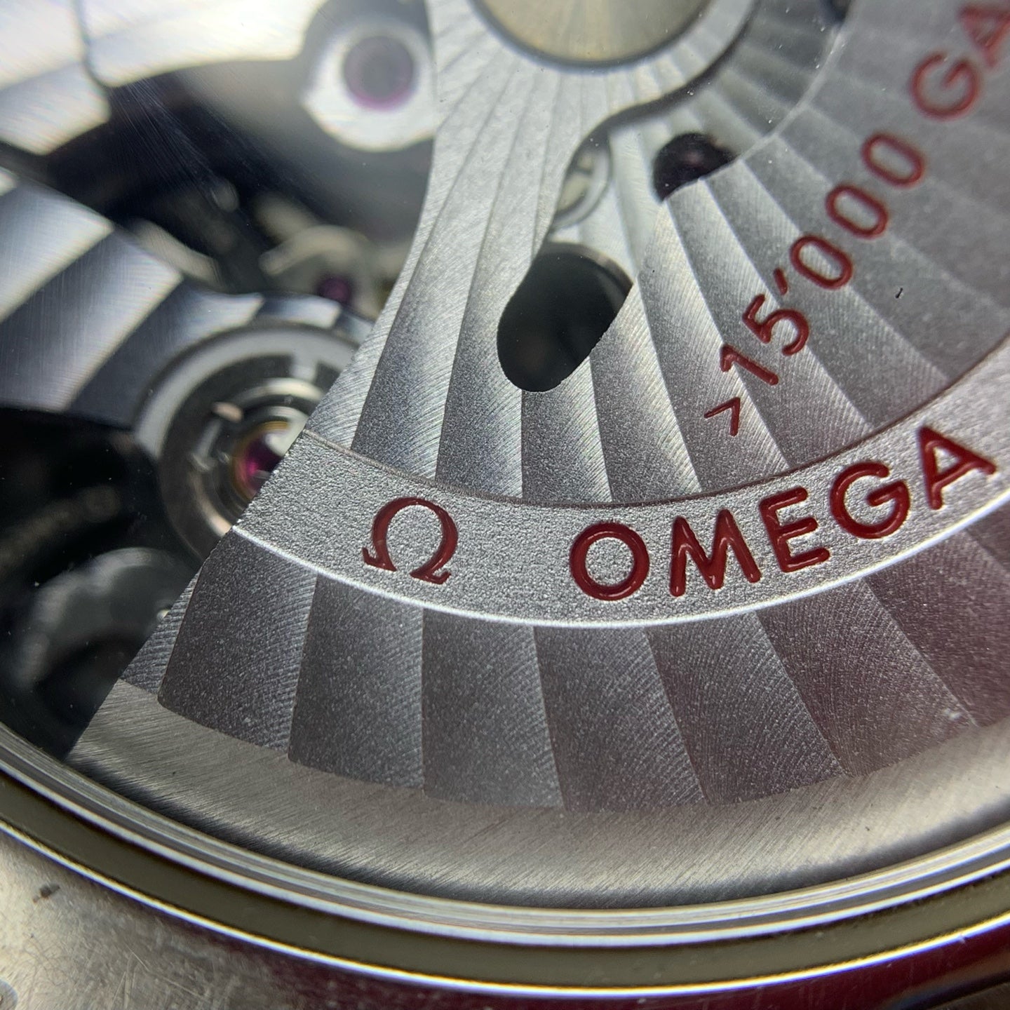 Omega Seahorse Series 41.5 231.10.42.21.01.002