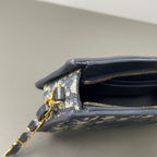 Dior Shoulder Bag