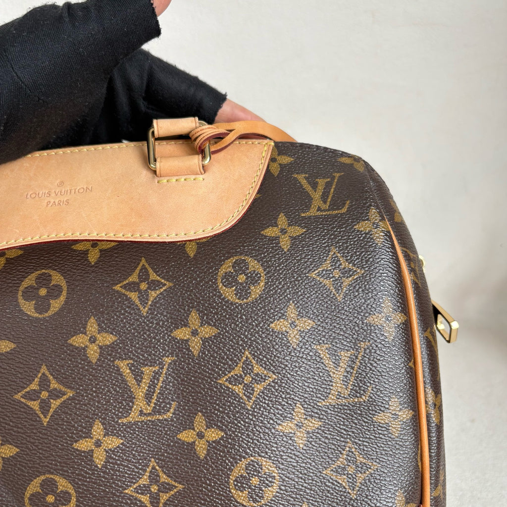 Louis Vuitton Tote