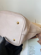 Miu Miu Pink