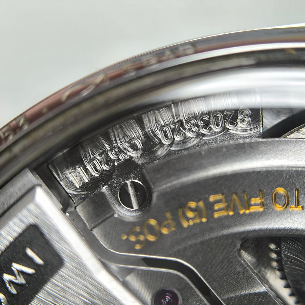 IWC IWC Portuguese Collection 42.4 millimeters IW501701