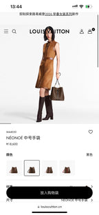 Louis Vuitton Black