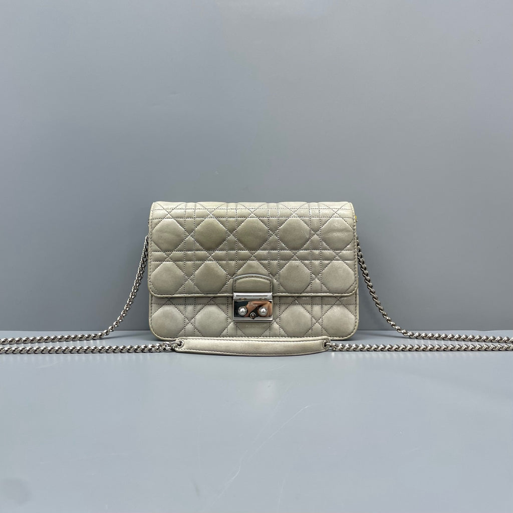 Dior Gray