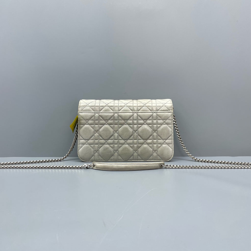 Dior Gray