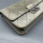 Dior Gray