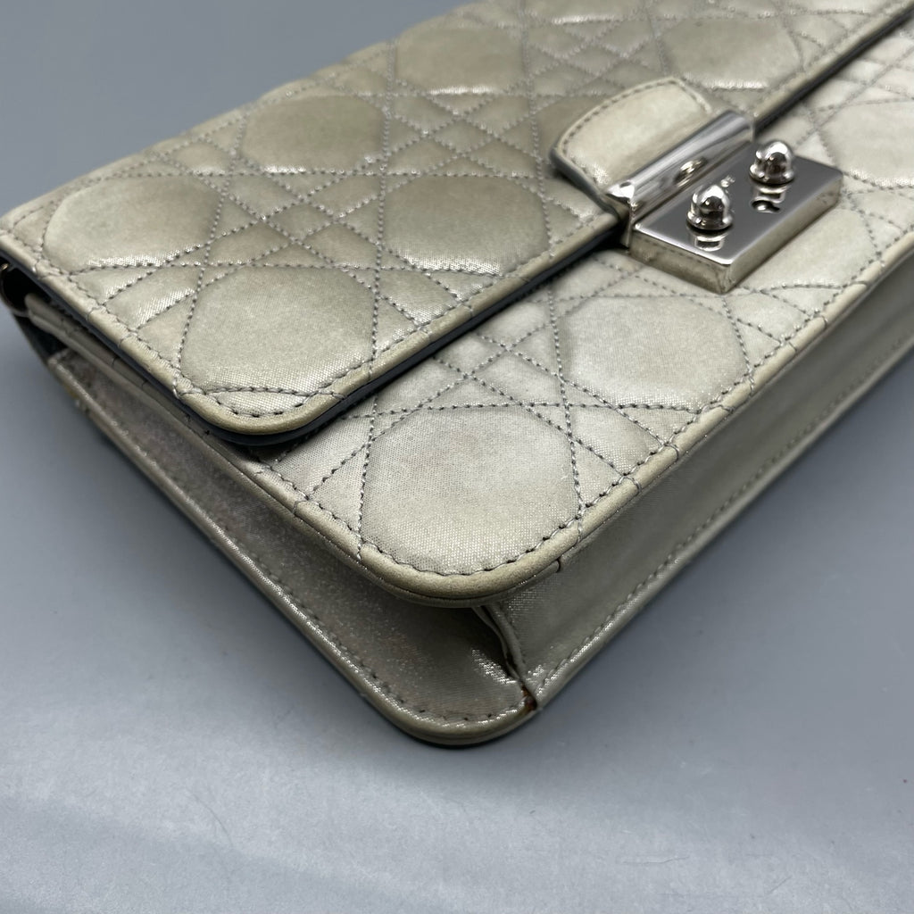 Dior Gray