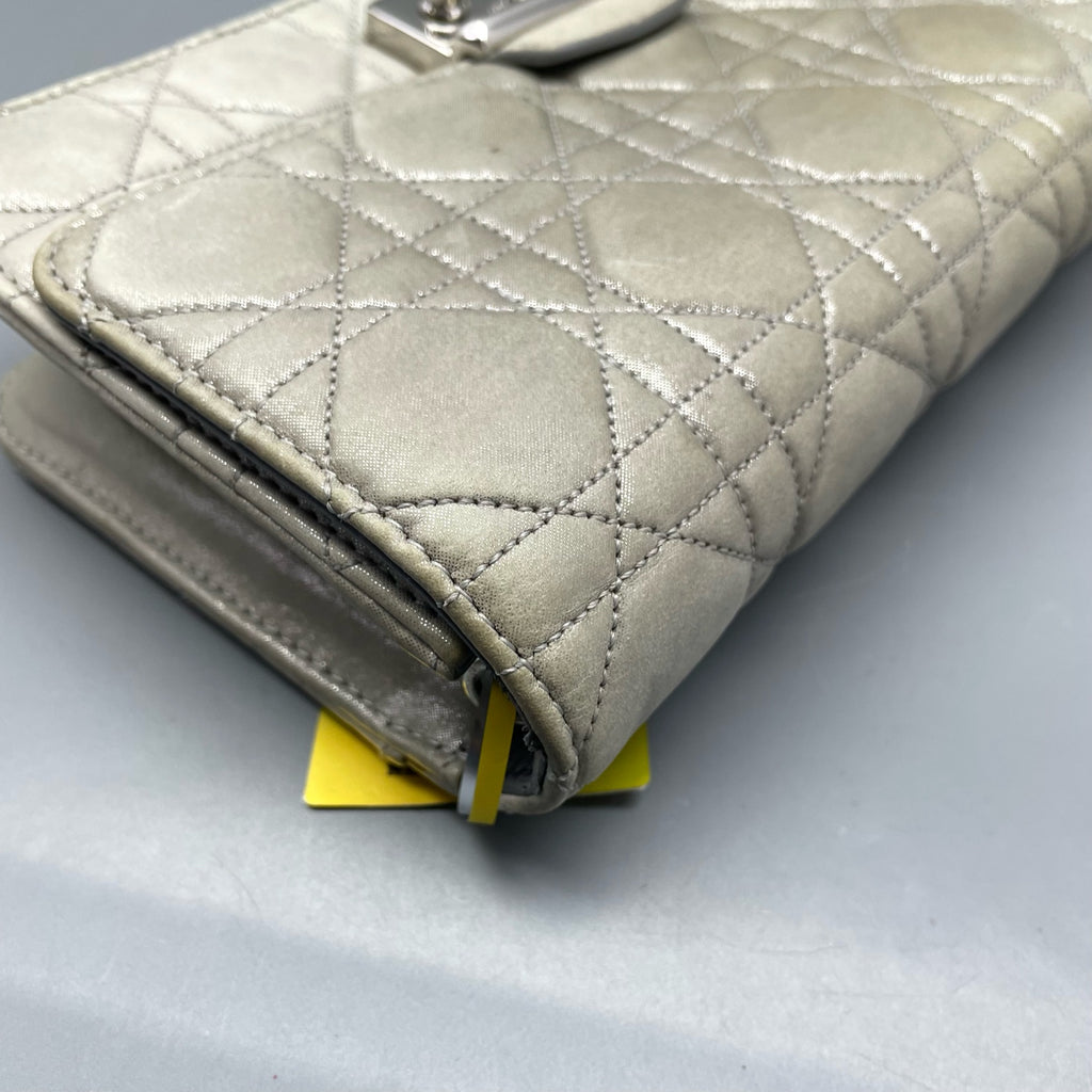 Dior Gray