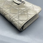 Dior Gray
