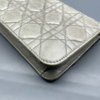 Dior Gray