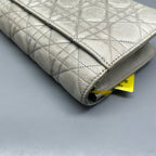 Dior Gray