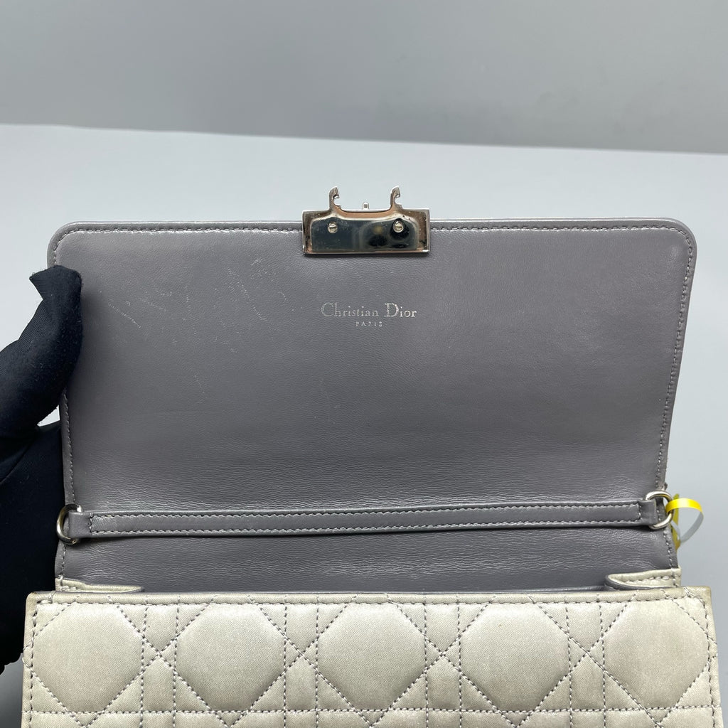 Dior Gray