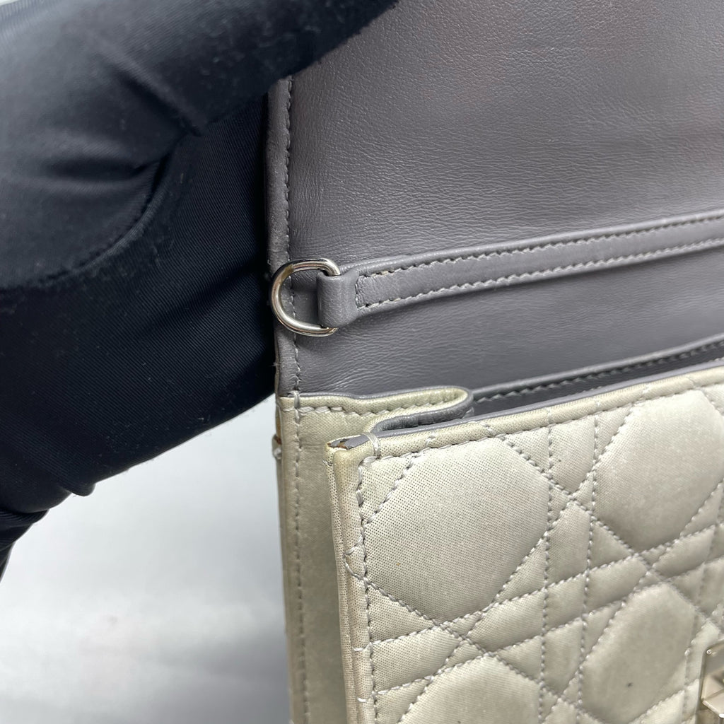 Dior Gray