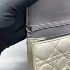 Dior Gray