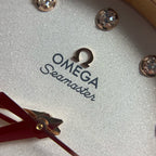 Omega Seahorse Series 34 220.20.34.20.52.001