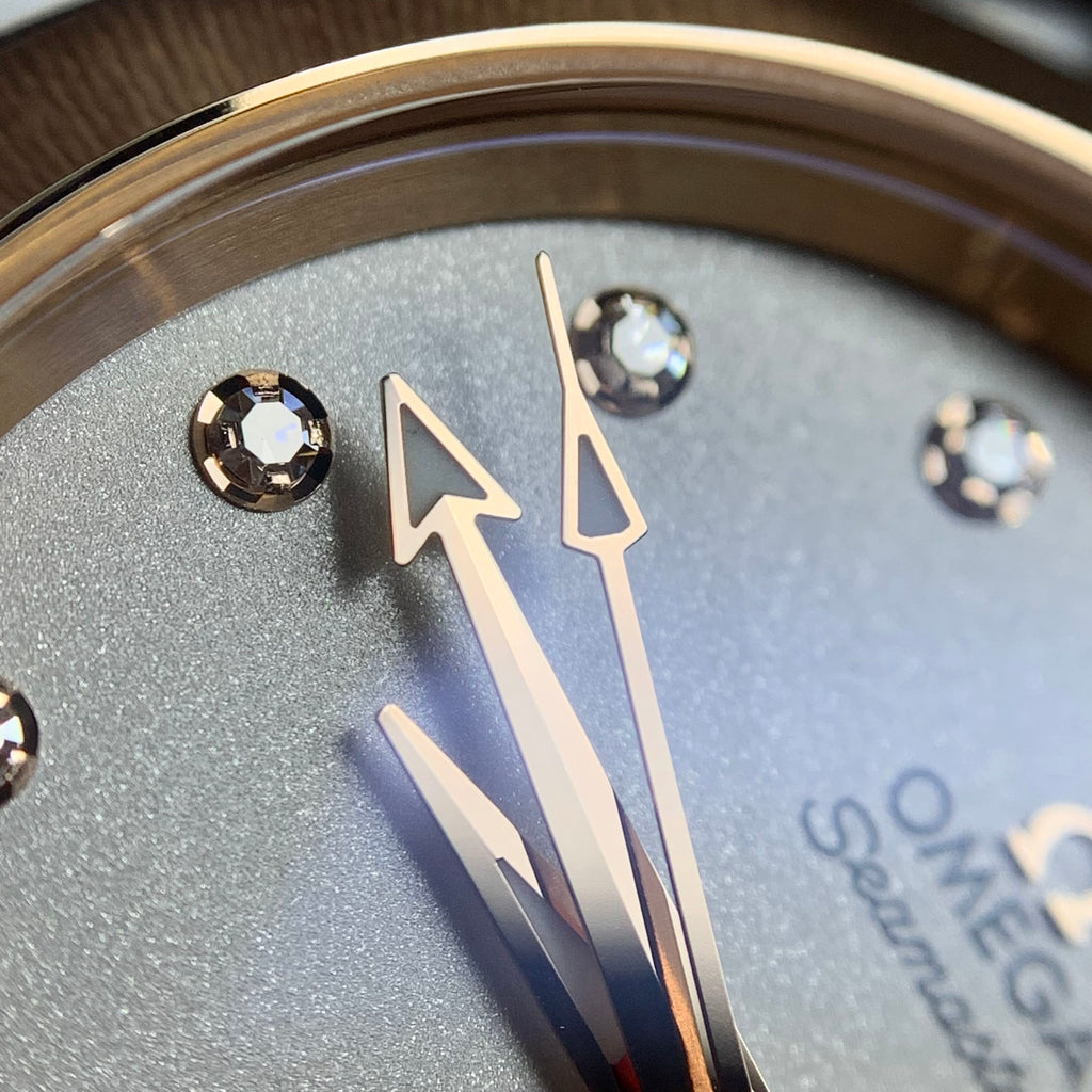 Omega Seahorse Series 34 220.20.34.20.52.001