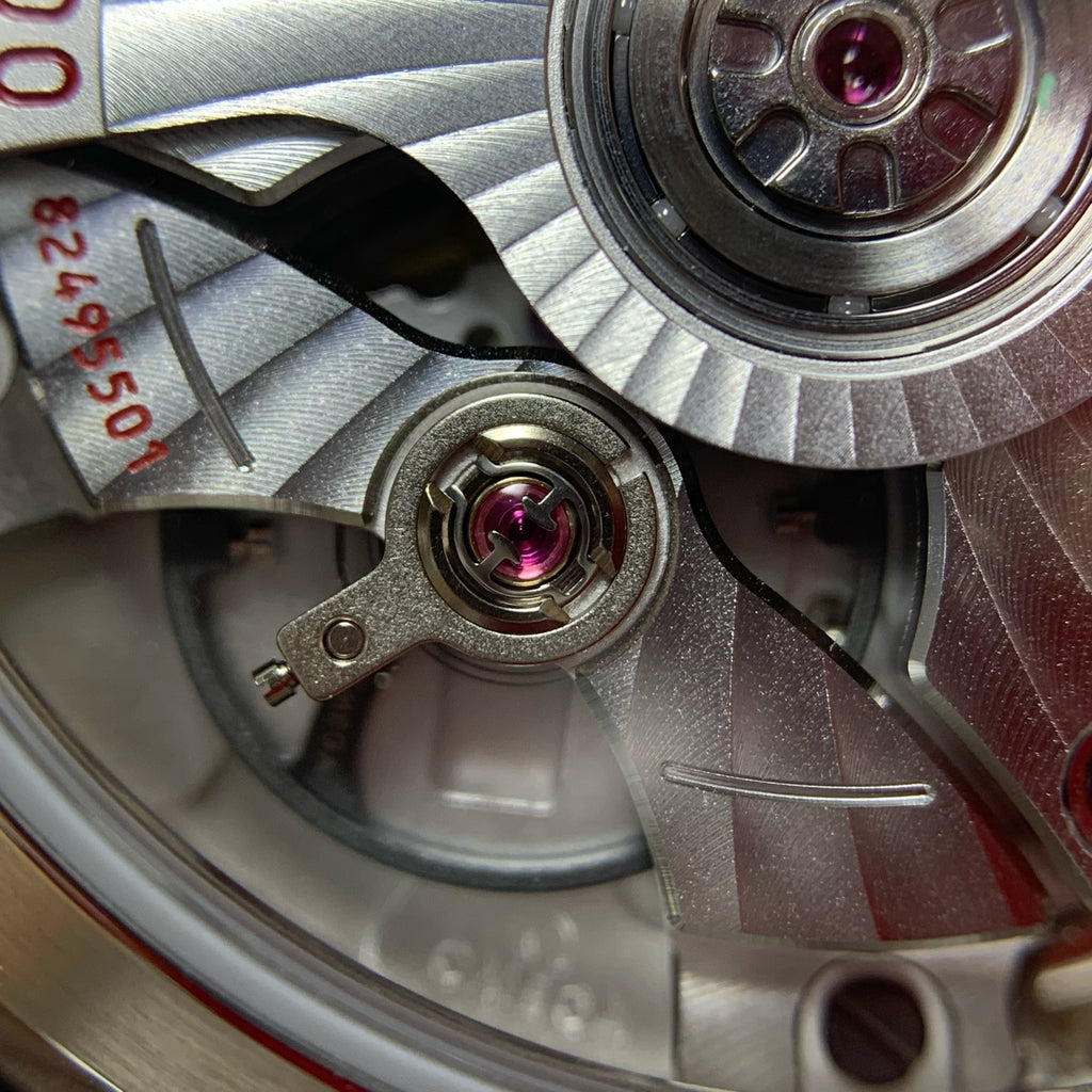 Omega Seahorse Series 34 220.20.34.20.52.001