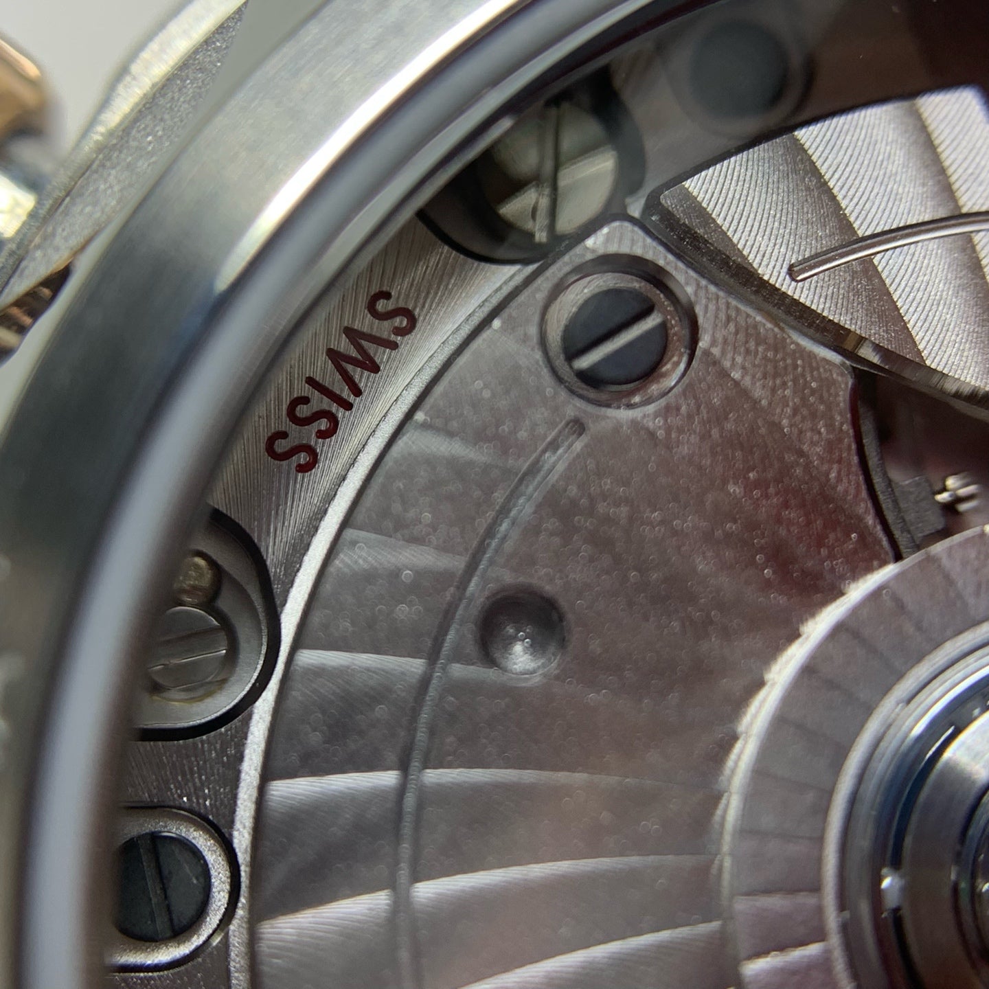 Omega Seahorse Series 34 220.20.34.20.52.001