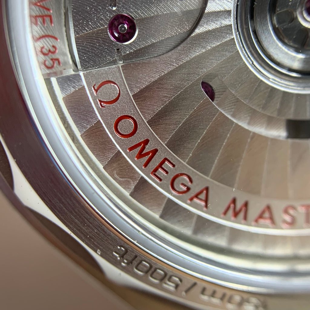 Omega Seahorse Series 34 220.20.34.20.52.001