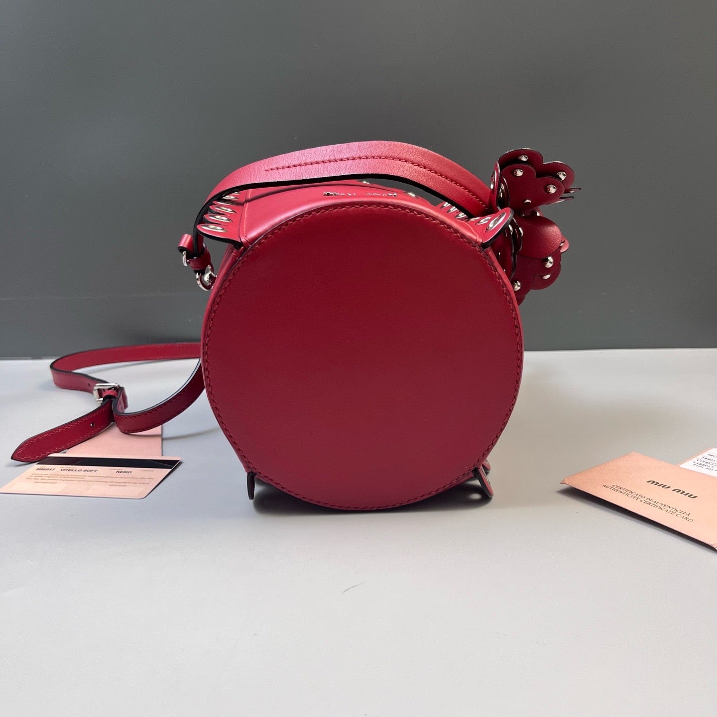 Miu Miu Red Bucket & Drawstring Bag